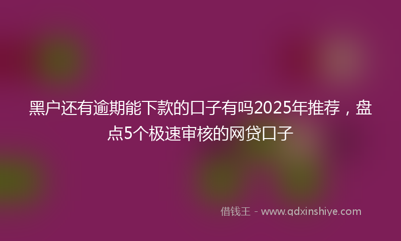 黑户还有逾期能下款的口子有吗2025年推荐，盘点5个极速审核的网贷口子