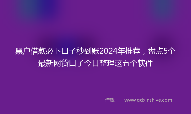 黑户借款必下口子秒到账2024年推荐，盘点5个最新网贷口子今日整理这五个软件