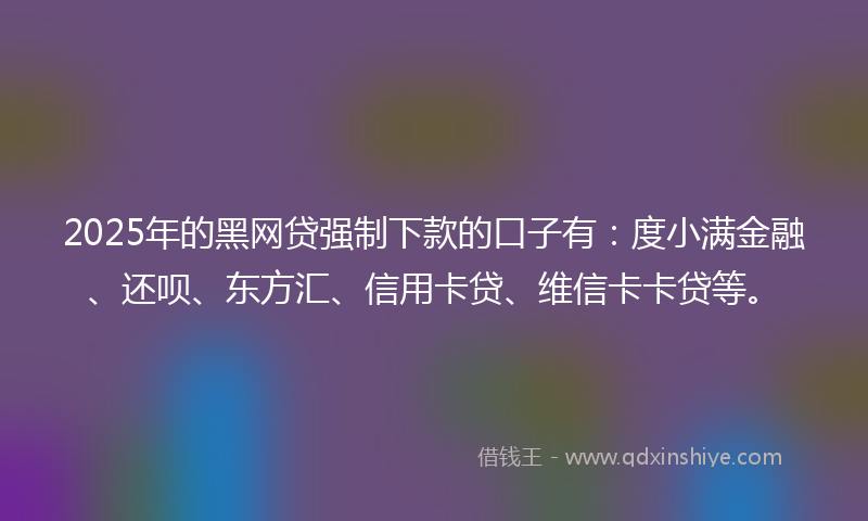 2025年的黑网贷强制下款的口子有：度小满金融、还呗、东方汇、信用卡贷、维信卡卡贷等。