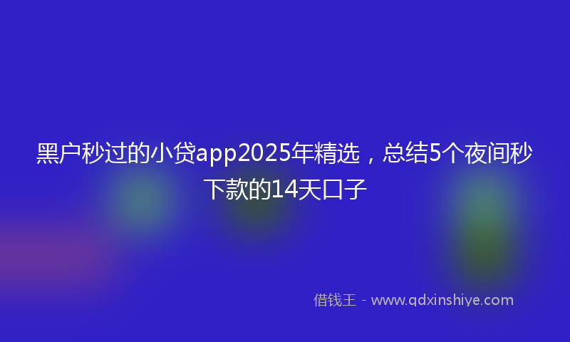 黑户秒过的小贷app2025年精选，总结5个夜间秒下款的14天口子