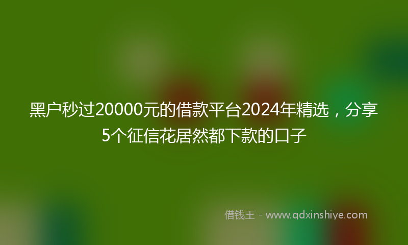 黑户秒过20000元的借款平台2024年精选，分享5个征信花居然都下款的口子