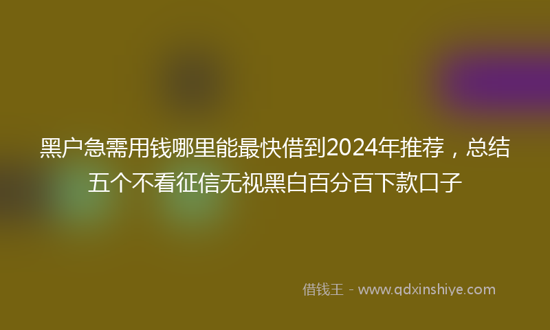 黑户急需用钱哪里能最快借到2024年推荐，总结五个不看征信无视黑白百分百下款口子