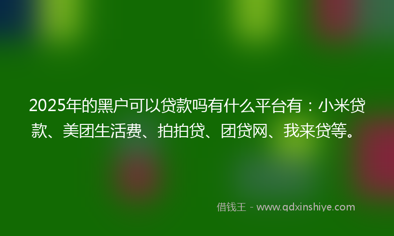 2025年的黑户可以贷款吗有什么平台有：小米贷款、美团生活费、拍拍贷、团贷网、我来贷等。
