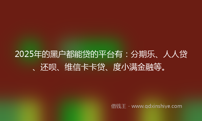 2025年的黑户都能贷的平台有：分期乐、人人贷、还呗、维信卡卡贷、度小满金融等。