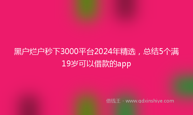 黑户烂户秒下3000平台2024年精选，总结5个满19岁可以借款的app