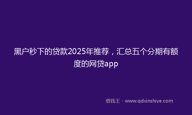 黑户秒下的贷款2025年推荐，汇总五个分期有额度的网贷app