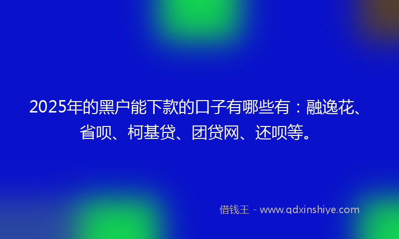 2025年的黑户能下款的口子有哪些有：融逸花、省呗、柯基贷、团贷网、还呗等。