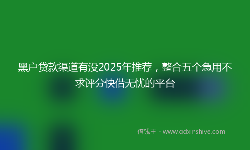 黑户贷款渠道有没2025年推荐，整合五个急用不求评分快借无忧的平台