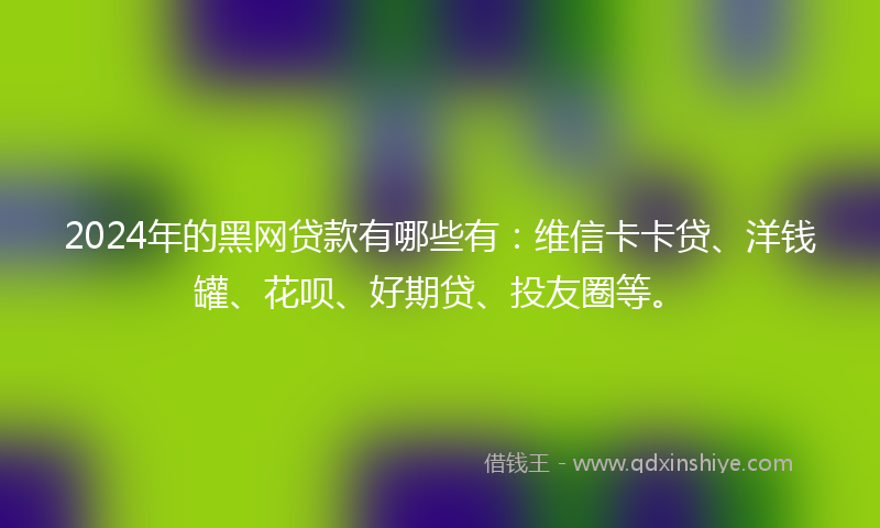 2024年的黑网贷款有哪些有：维信卡卡贷、洋钱罐、花呗、好期贷、投友圈等。