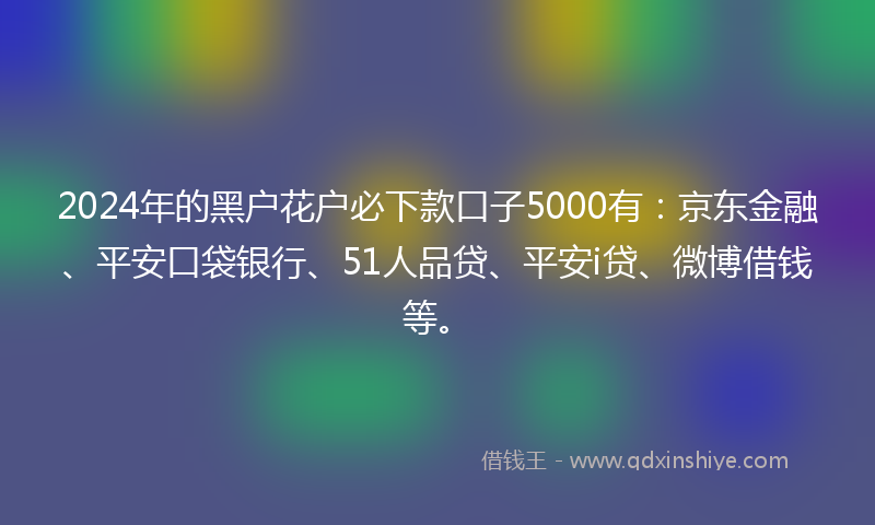 2024年的黑户花户必下款口子5000有：京东金融、平安口袋银行、51人品贷、平安i贷、微博借钱等。