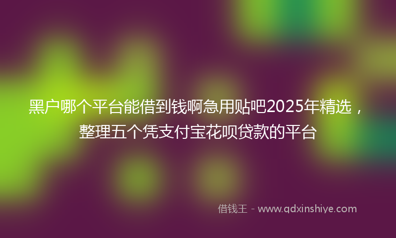 黑户哪个平台能借到钱啊急用贴吧2025年精选，整理五个凭支付宝花呗贷款的平台