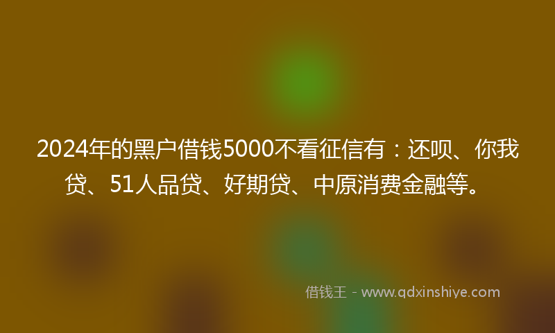 2024年的黑户借钱5000不看征信有：还呗、你我贷、51人品贷、好期贷、中原消费金融等。