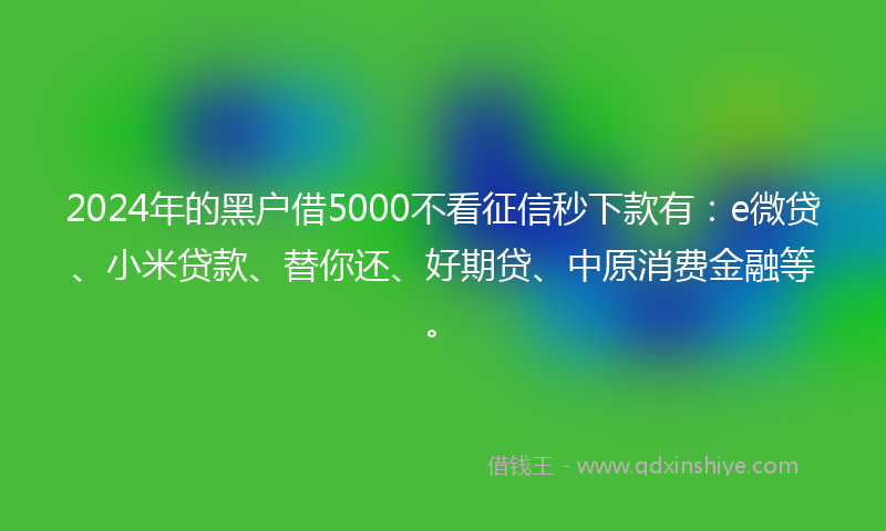 2024年的黑户借5000不看征信秒下款有：e微贷、小米贷款、替你还、好期贷、中原消费金融等。