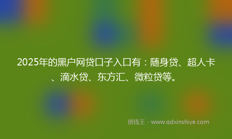 2025年的黑户网贷口子入口有：随身贷、超人卡、滴水贷、东方汇、微粒贷等。