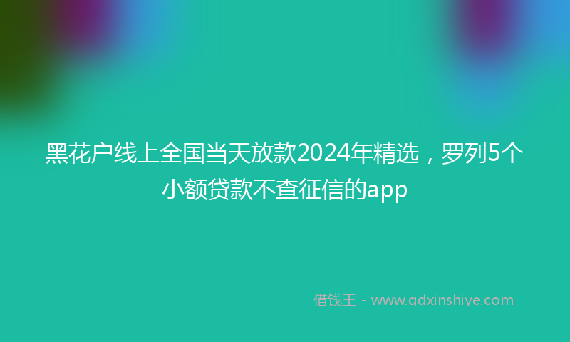 黑花户线上全国当天放款2024年精选，罗列5个小额贷款不查征信的app