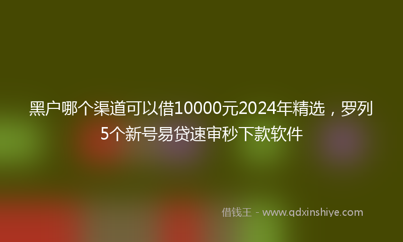 黑户哪个渠道可以借10000元2024年精选，罗列5个新号易贷速审秒下款软件