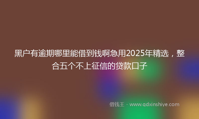 黑户有逾期哪里能借到钱啊急用2025年精选，整合五个不上征信的贷款口子