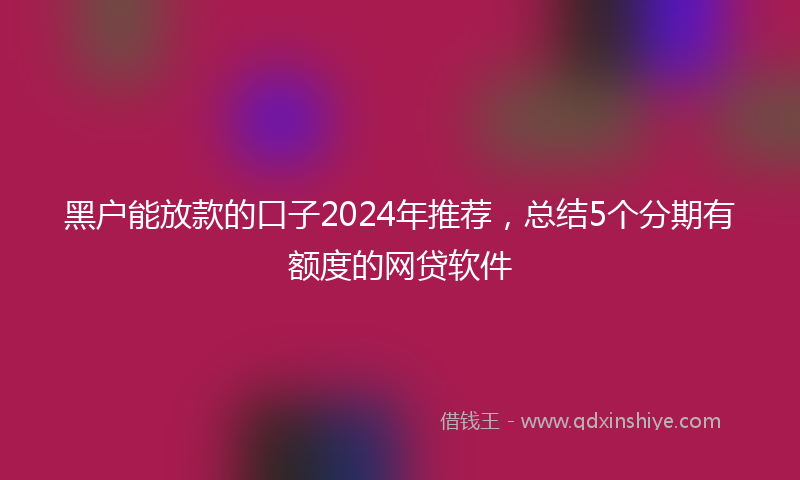 黑户能放款的口子2024年推荐，总结5个分期有额度的网贷软件