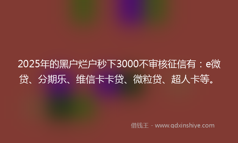 2025年的黑户烂户秒下3000不审核征信有：e微贷、分期乐、维信卡卡贷、微粒贷、超人卡等。