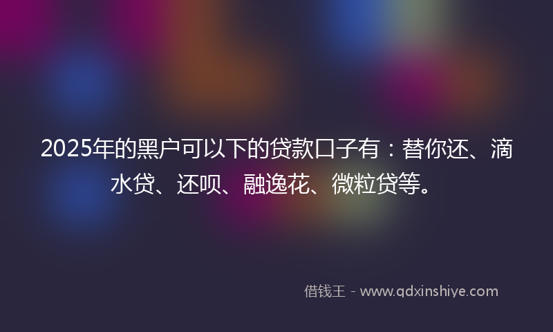 2025年的黑户可以下的贷款口子有：替你还、滴水贷、还呗、融逸花、微粒贷等。