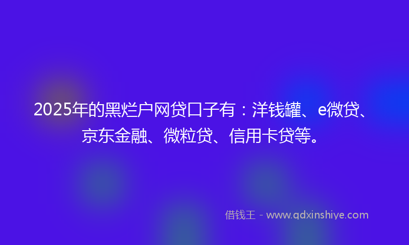 2025年的黑烂户网贷口子有：洋钱罐、e微贷、京东金融、微粒贷、信用卡贷等。