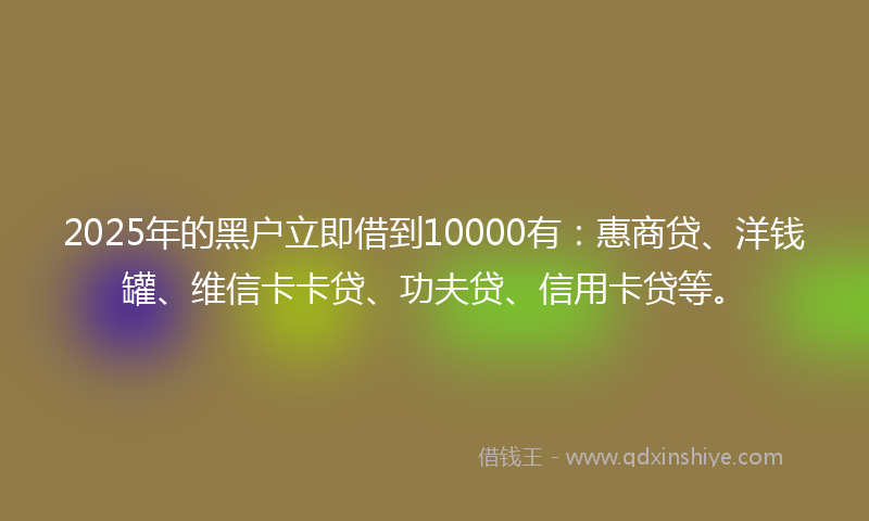 2025年的黑户立即借到10000有：惠商贷、洋钱罐、维信卡卡贷、功夫贷、信用卡贷等。