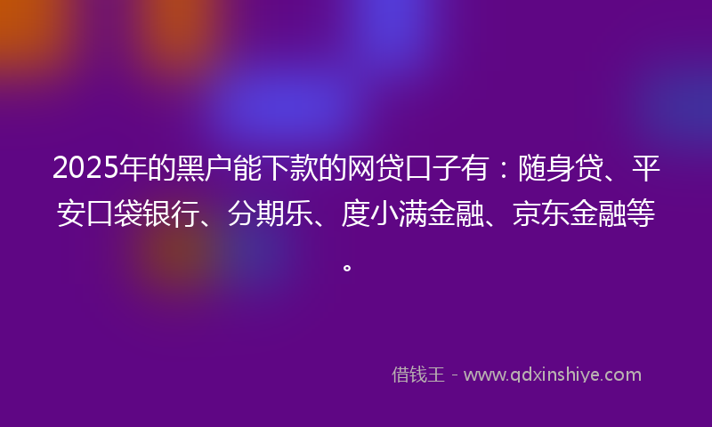 2025年的黑户能下款的网贷口子有：随身贷、平安口袋银行、分期乐、度小满金融、京东金融等。