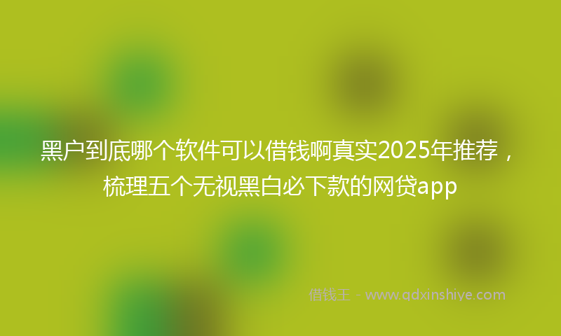 黑户到底哪个软件可以借钱啊真实2025年推荐，梳理五个无视黑白必下款的网贷app