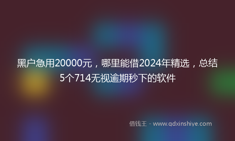 黑户急用20000元，哪里能借2024年精选，总结5个714无视逾期秒下的软件