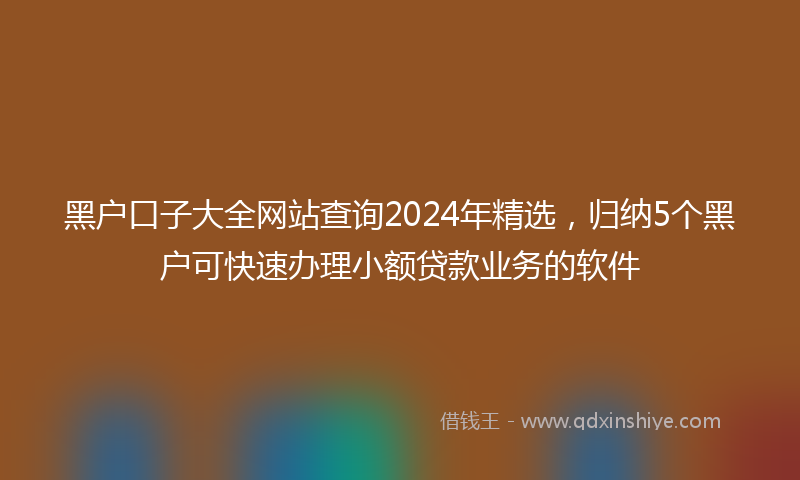 黑户口子大全网站查询2024年精选，归纳5个黑户可快速办理小额贷款业务的软件