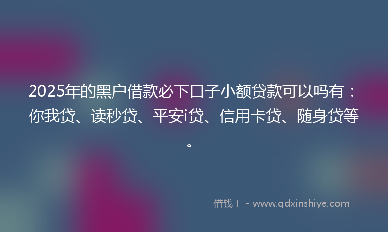 2025年的黑户借款必下口子小额贷款可以吗有：你我贷、读秒贷、平安i贷、信用卡贷、随身贷等。