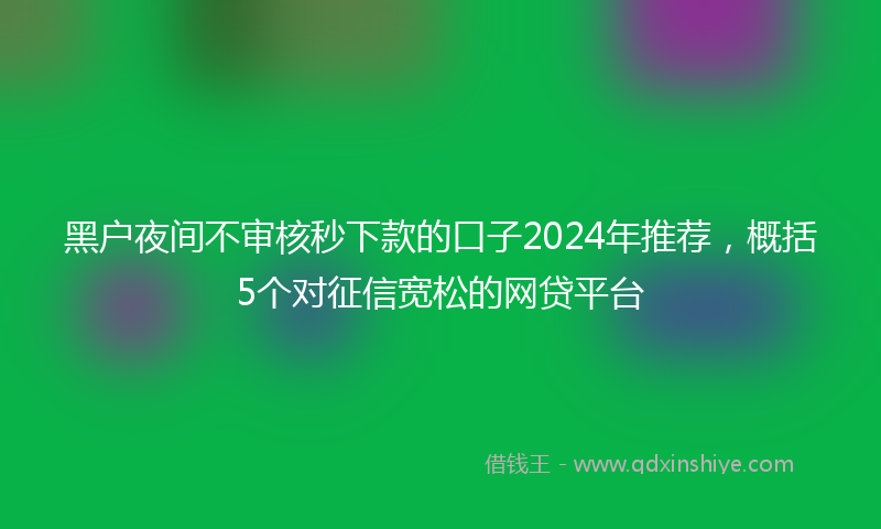 黑户夜间不审核秒下款的口子2024年推荐，概括5个对征信宽松的网贷平台