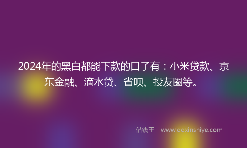 2024年的黑白都能下款的口子有：小米贷款、京东金融、滴水贷、省呗、投友圈等。
