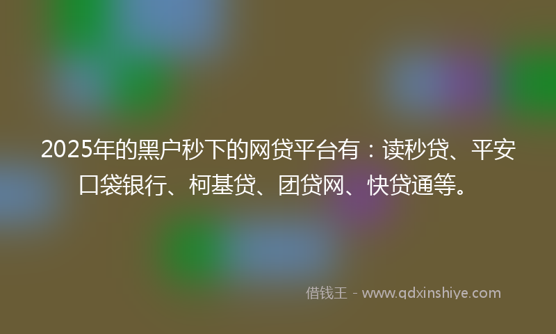2025年的黑户秒下的网贷平台有：读秒贷、平安口袋银行、柯基贷、团贷网、快贷通等。