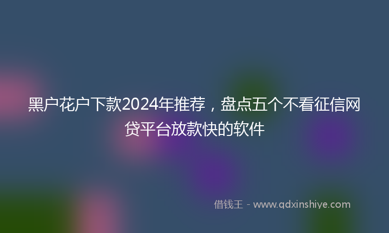 黑户花户下款2024年推荐，盘点五个不看征信网贷平台放款快的软件
