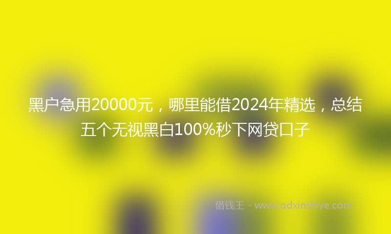 黑户急用20000元，哪里能借2024年精选，总结五个无视黑白100%秒下网贷口子