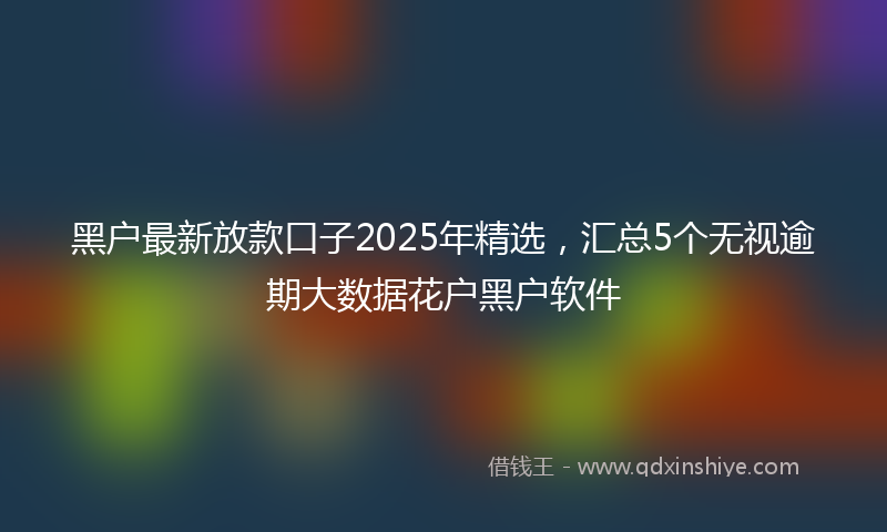 黑户最新放款口子2025年精选，汇总5个无视逾期大数据花户黑户软件