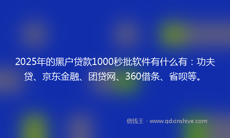 2025年的黑户贷款1000秒批软件有什么有：功夫贷、京东金融、团贷网、360借条、省呗等。