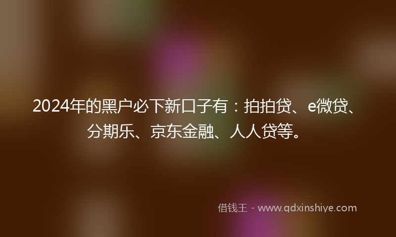 2024年的黑户必下新口子有：拍拍贷、e微贷、分期乐、京东金融、人人贷等。