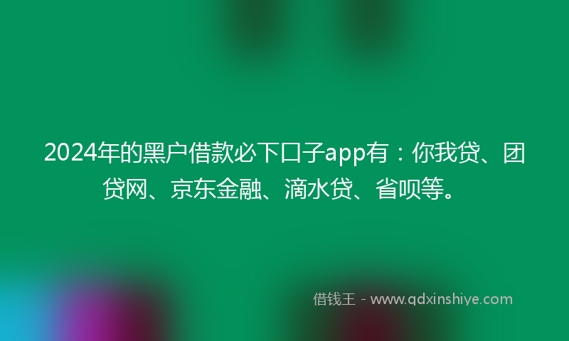 2024年的黑户借款必下口子app有：你我贷、团贷网、京东金融、滴水贷、省呗等。