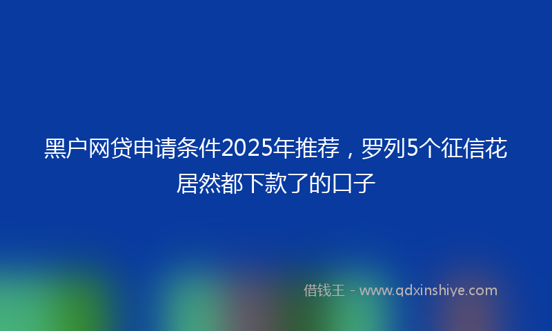 黑户网贷申请条件2025年推荐，罗列5个征信花居然都下款了的口子