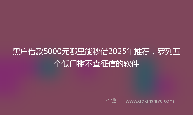 黑户借款5000元哪里能秒借2025年推荐，罗列五个低门槛不查征信的软件