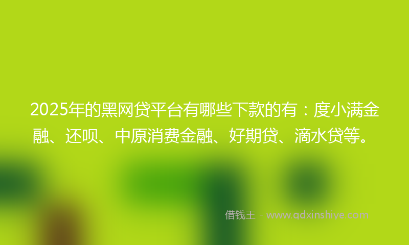 2025年的黑网贷平台有哪些下款的有：度小满金融、还呗、中原消费金融、好期贷、滴水贷等。
