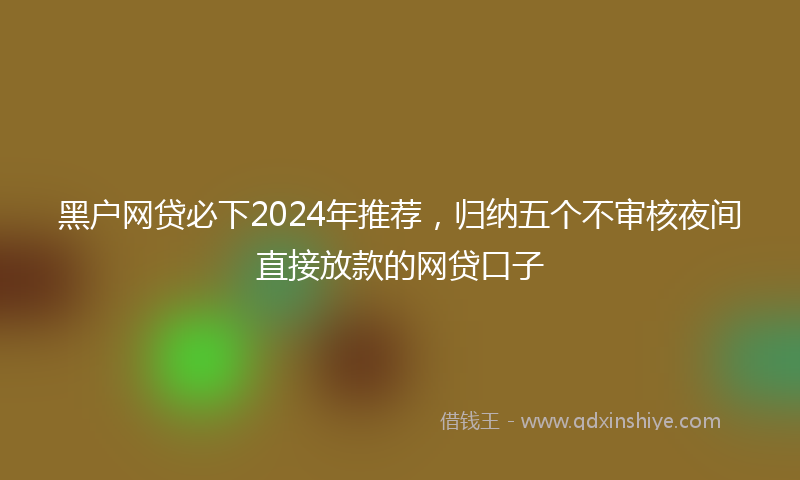 黑户网贷必下2024年推荐，归纳五个不审核夜间直接放款的网贷口子