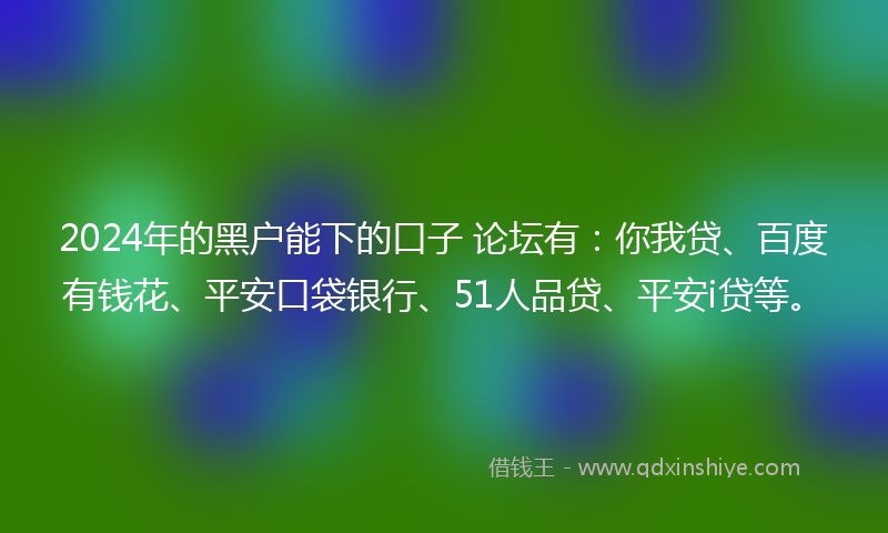 2024年的黑户能下的口子 论坛有：你我贷、百度有钱花、平安口袋银行、51人品贷、平安i贷等。