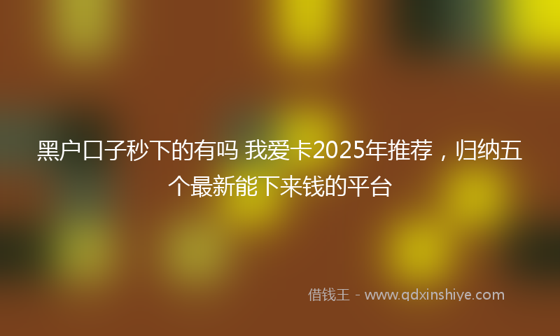 黑户口子秒下的有吗 我爱卡2025年推荐，归纳五个最新能下来钱的平台