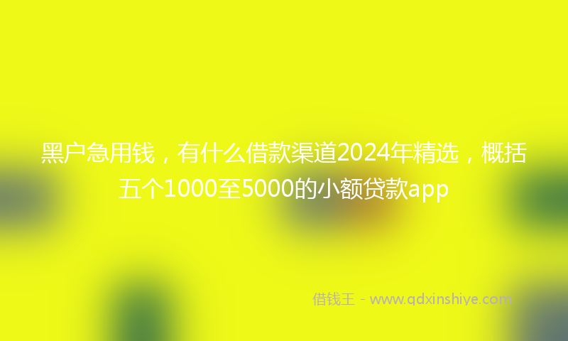 黑户急用钱，有什么借款渠道2024年精选，概括五个1000至5000的小额贷款app