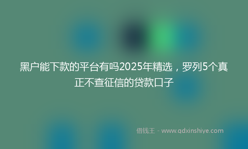 黑户能下款的平台有吗2025年精选，罗列5个真正不查征信的贷款口子