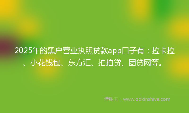 2025年的黑户营业执照贷款app口子有：拉卡拉、小花钱包、东方汇、拍拍贷、团贷网等。