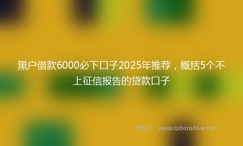 黑户借款6000必下口子2025年推荐，概括5个不上征信报告的贷款口子